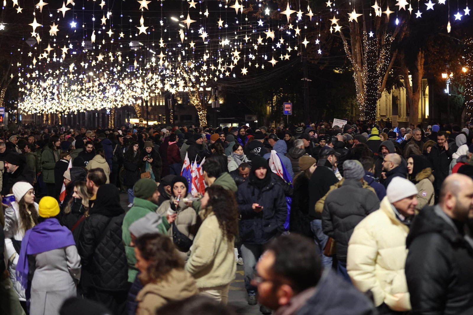 Mii de georgieni au demonstrat în fața Parlamentului împotriva deciziei Guvernului de a suspenda procesul de aderare la UE.