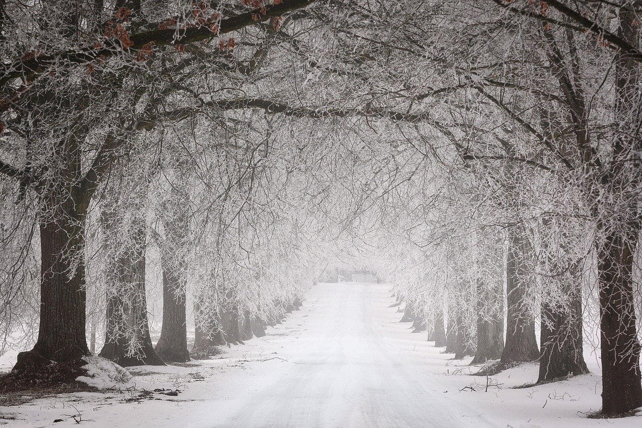 Un val de aer polar va aduce temperaturi extrem de scăzute în România, cu minime de până la -22 de grade Celsius.