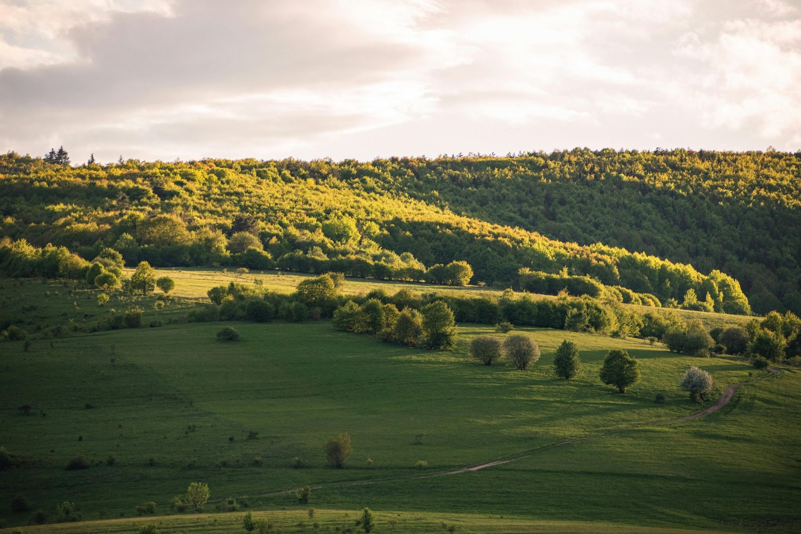 Administrația Națională de Meteorologie a anunțat prognoza vremii pentru următoarele două săptămâni, previzionând o creștere a temperaturilor.