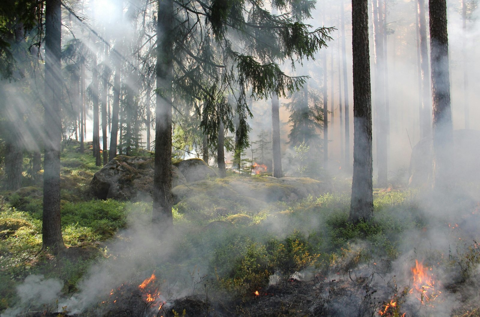 Forțele Aeriene Române desfășoară un C-27J Spartan pentru combaterea incendiilor de vegetație în Caraș-Severin și Hunedoara.