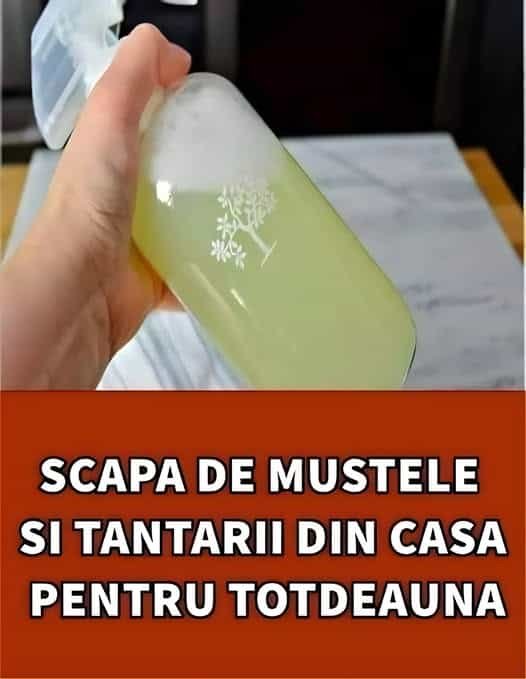 Săpunul insecticid natural care te scapă de muște, țânțari sau gândaci