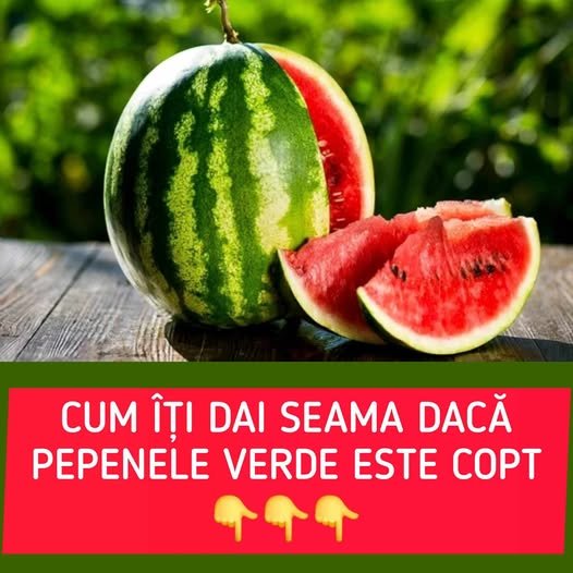 Cum îți dai seama dacă pepenele verde este bine copt. 4 lucruri la care trebuie să fii atent pentru a-l alege cum trebuie
