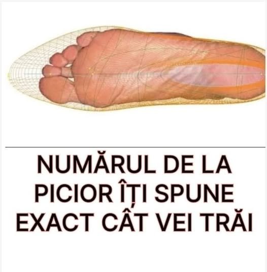 Știai Că Numărul De La Picior Spune Exact Cat Vei Trăi? Citește Să Vezi Unde Te Încadrezi