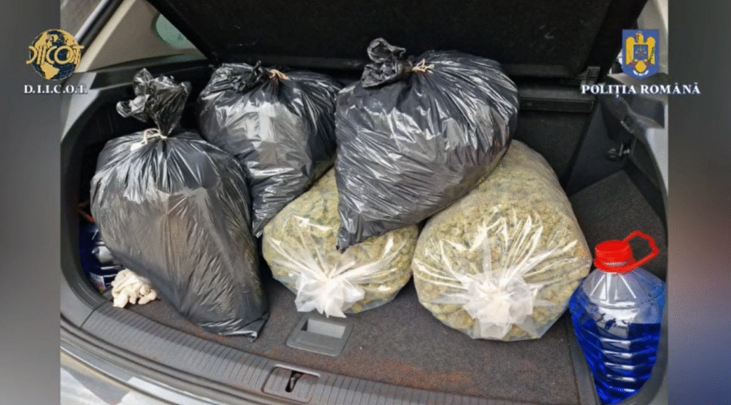 Trei bărbați, acuzați de transportul a aproape 50 kg de canabis din Spania în România printr-o firmă de curierat