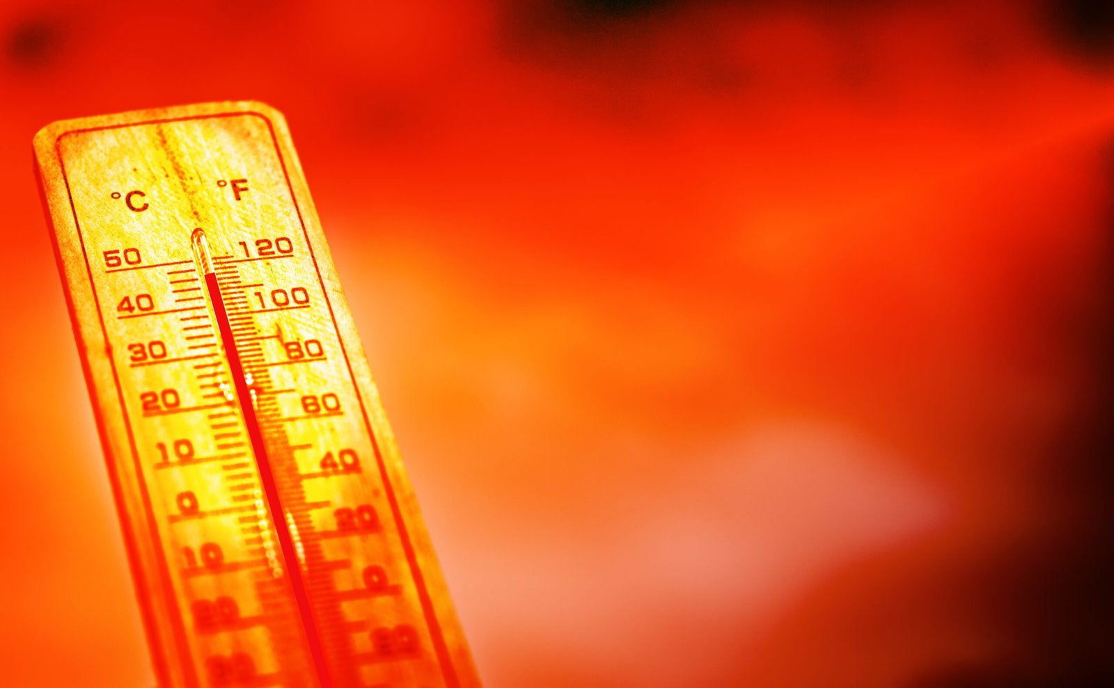 ANM emite avertizări de Cod Roșu pentru caniculă în sudul României, cu temperaturi ce depășesc 41 de grade Celsius, și Cod Portocaliu și Galben pentru restul țării.