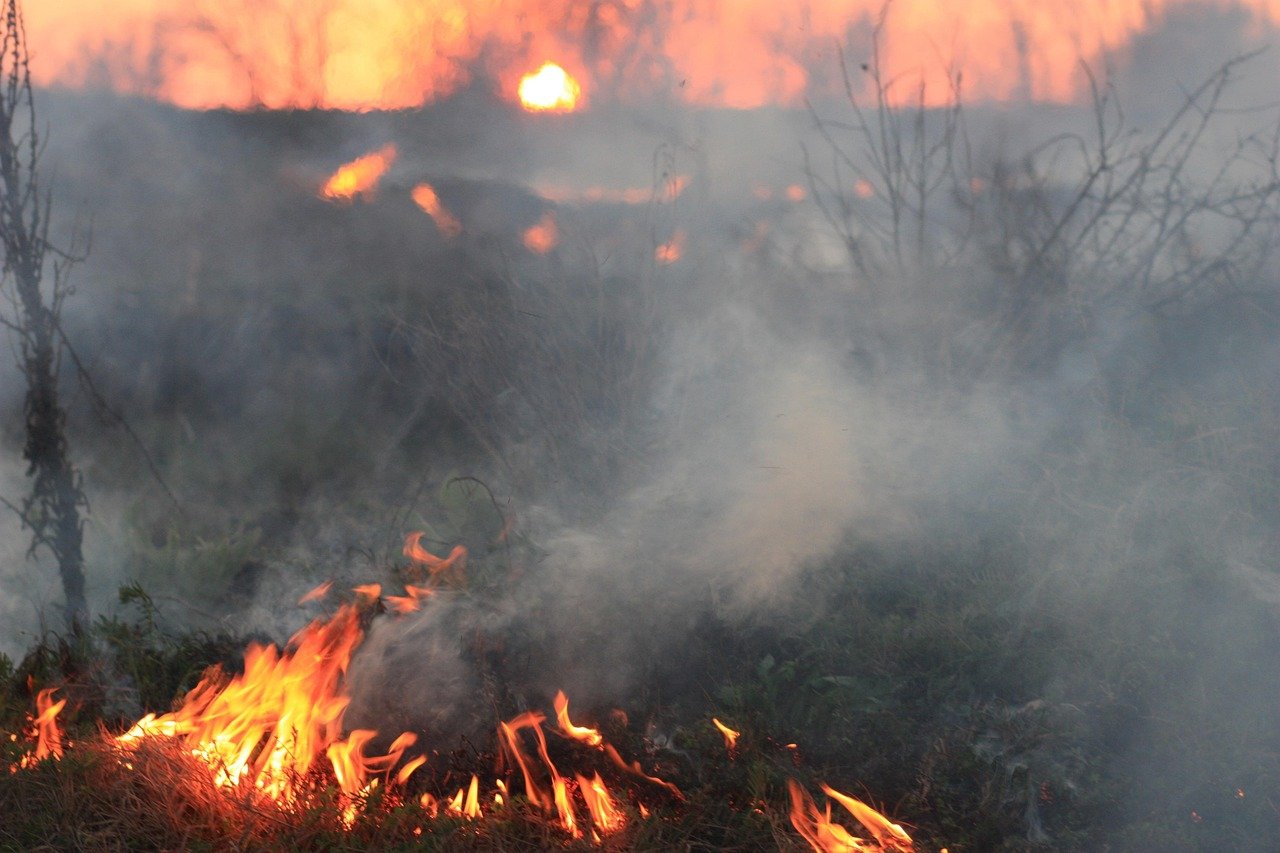 Incendiu de vegetație în sudul Franței: Aeroportul Marseille Provence închis, impact asupra călătoriilor de vară