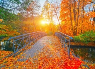 Vreme mai caldă pe 21 noiembrie, cu temperaturi între 7 și 20 de grade. Ploile vor fi prezente în vest și centru, iar vântul se va intensifica.