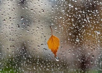 De vineri, România se va confrunta cu ploi torențiale în sud, ninsoare la munte și intensificări ale vântului, conform ANM.