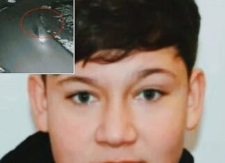 Tragedia din Timiș: Alin a scăpat de atacatori, dar aceștia l-au prins din nou – Declarația crucială