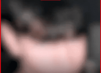 Criminalul de 13 ani din Timiș este liber și poate reveni la școală. Părinte: Mă tem, tremur.