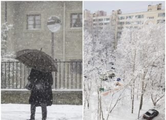 Valul de aer arctic din februarie: fenomen meteorologic ce afectează prognoza