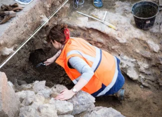 Descoperirea unei figuri de lut vechi de peste 7.500 de ani lângă Sfântu Gheorghe oferă noi perspective asupra culturii neolitice Starcevo-Criş.