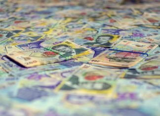 Trei firme din Ialomița sunt investigate pentru fraude cu fonduri publice, prejudiciul estimat fiind de 580.000 lei.