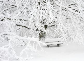 Elena Mateescu, directorul ANM, a declarat că avertizarea de cod portocaliu continuă pentru 12 județe și București, cu posibilitatea emiterii unui cod roșu dacă situația o va cere.