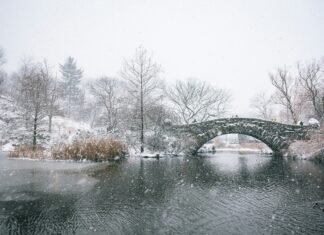 Primarul New York-ului, Zohran Mamdani, a instituit o interdicție temporară de circulație din cauza unei furtuni de zăpadă.