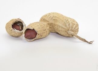 O echipă din Australia a creat o metodă ecologică și economică pentru a transforma cojile de arahide în grafen, un material esențial în electronică.