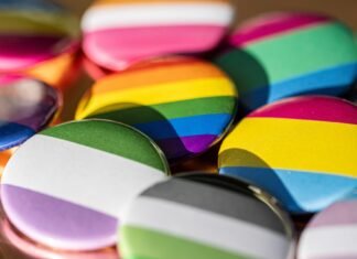 ONG-urile solicită Parlamentului adoptarea parteneriatului civil