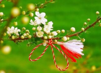 Mărțișorul: Tradiții și Obiceiuri Puțin Cunoscute în România. De ce Se Leagă Șnururi Alb-Roșii de Pomii?