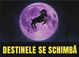 Astrele Transformă Destine: Zodiile Care Intra Într-o Perioadă Remarcabilă. Nimic Nu Va Mai Fi La Fel.