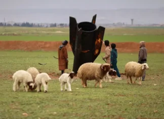 O rachetă neexplodată, căzută aproape de granița dintre Siria și Turcia, a stârnit curiozitatea localnicilor.
