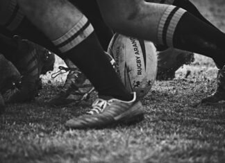 Stuart Hogg, fost jucător de rugby scoțian, și-a pierdut titlul MBE după ce a recunoscut acuzațiile de abuz domestic împotriva soției sale, decisiv de regele Charles al III-lea.