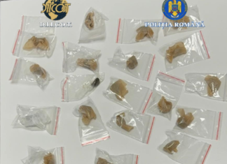 DIICOT investighează dismantling a high-risk drug trafficking network in Buzău County