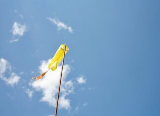 Vânt puternic în diverse județe din România