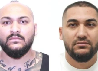 Dani Mocanu și fratele său, condamnați pentru tentativă de omor, repatriați din Italia, anunță Poliția Română