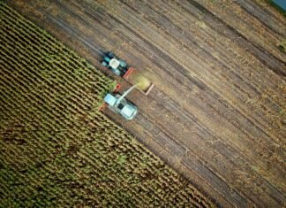 Bulgaria, Estonia și Ungaria beneficiază de sprijin financiar din partea CE pentru a acoperi pierderile cauzate de condițiile climatice nefavorabile, iar sumele se situează între 3,3 și 10,8 milioane de euro.