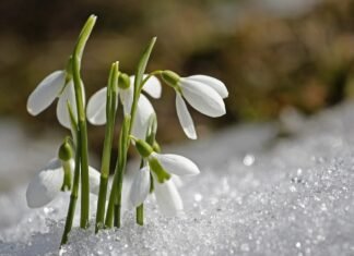 Accuweather a actualizat prognoza meteo! Ce vreme ne așteaptă în luna martie?