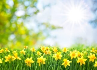 AccuWeather a actualizat prognoza meteo! Ce ne așteaptă în luna mai?