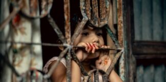 Europol anunță identificarea a 12 potențiale victime minore într-o operațiune internațională împotriva exploatării sexuale a copiilor.