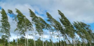 Poluare cu praf de minereu steril neferos în Maramureș, cauzată de vânturi puternice