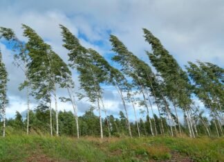 Poluare cu praf de minereu steril neferos în Maramureș, cauzată de vânturi puternice