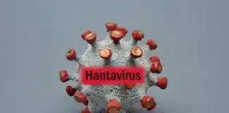 Directorul OMS, Tedros Adhanom Ghebreyesus, afirmă că riscul global asociat focarului de hantavirus de pe vasul MV Hondius este redus.
