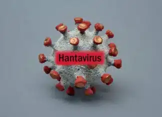 Directorul OMS, Tedros Adhanom Ghebreyesus, afirmă că riscul global asociat focarului de hantavirus de pe vasul MV Hondius este redus.
