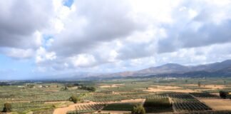 Parchetul European derulează o investigație extinsă în Grecia pe tema fraudelor cu subvenții agricole europene
