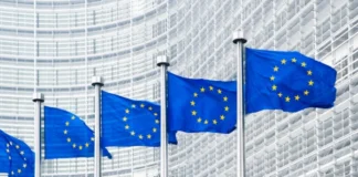 Comisia Europeană dă undă verde pentru o societate mixtă de baterii în România, Bulgaria și Italia