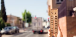 Valul de căldură lovește Europa de Vest: temperaturi record în Franța și Marea Britanie, iar șapte oameni au decedat din cauza căldurii.