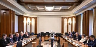 Vot în Camera Deputaților asupra legii pentru protecția intereselor naționale în economia națională
