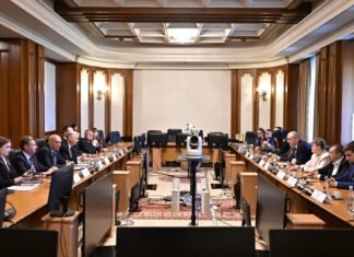 Vot în Camera Deputaților asupra legii pentru protecția intereselor naționale în economia națională