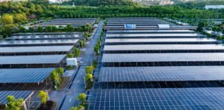 Compania austriacă Enery a început lucrările la un parc fotovoltaic hibrid în Ogrezeni, Giurgiu, cu o investiție de 460 de milioane de euro.