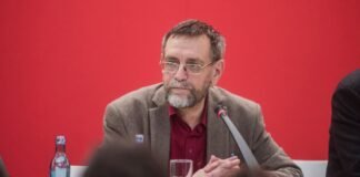Andrei Cornea, Dilema: Visul de Zi în Noapte