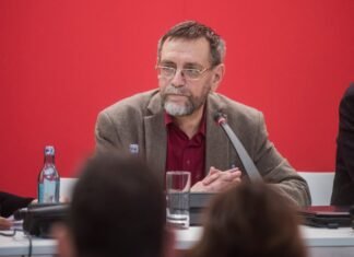 Andrei Cornea, Dilema: Visul de Zi în Noapte