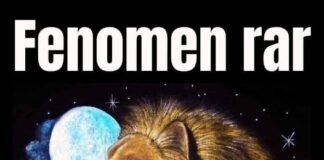 Horoscopul care transformă totul înainte de vară: Zodiile ce primesc bani, dragoste și surprize pline de magie!