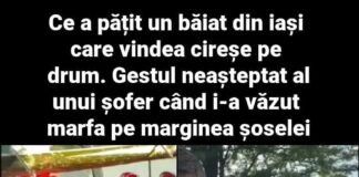 Un băiat din Iași a impresionat pe toată lumea vânzând cireșe în buchete la marginea drumului. Gestul său a devenit viral!