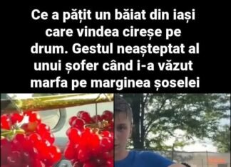 Un băiat din Iași a impresionat pe toată lumea vânzând cireșe în buchete la marginea drumului. Gestul său a devenit viral!