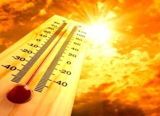 Va fi cea mai călduroasă vară din toate timpurile! Avertismentul alarmant al meteorologilor care îngrijorează întreaga lume.