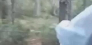 Reinvestigarea unei dispariții misterioase de 17 ani, reluată într-un parc național