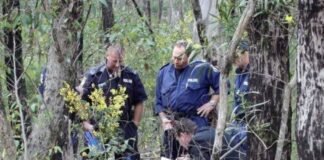 Profesoară de psihologie, descoperită fără viață la marginea unei păduri. Avea doar 28 de ani.